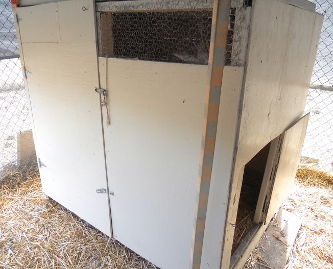 This handmade shed was repurposed into a coop by adding a small chicken-size door.